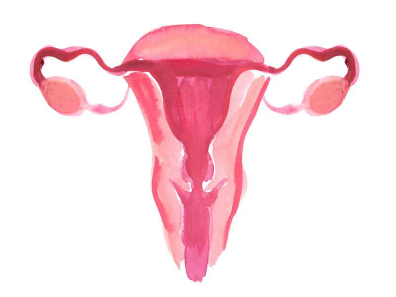 Site itchy vagina after losing virginity right! excellent Are itchy vagina after losing virginity seems remarkable